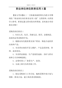 职业岗位岗位职责实用3篇