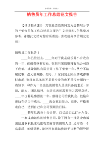 销售员年工作总结范文报告