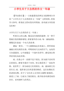 小学生关于大自然的作文一年级