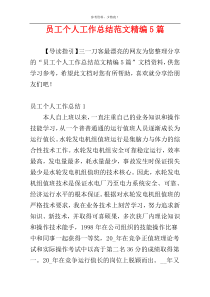 员工个人工作总结范文精编5篇