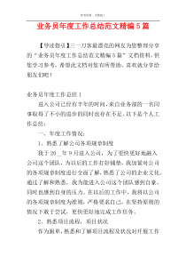 业务员年度工作总结范文精编5篇