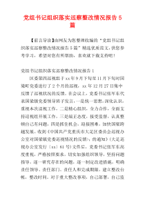 党组书记组织落实巡察整改情况报告5篇