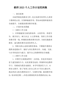 教师2023个人工作计划范例集