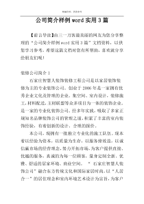 公司简介样例word实用3篇