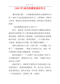 [600字]成功的感觉真好作文