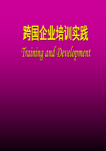 跨国企业培训实践(2)