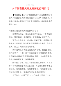 六年级在夏天所见所闻的抒写日记