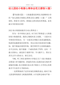 幼儿园幼小衔接心得体会范文感悟（4篇）
