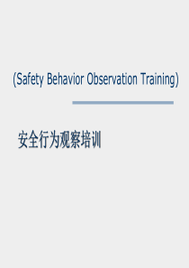 达能乐百氏安全观察培训-student