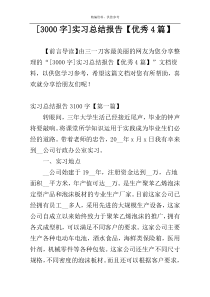 [3000字]实习总结报告【优秀4篇】