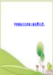 邬晓玲教材培训讲座