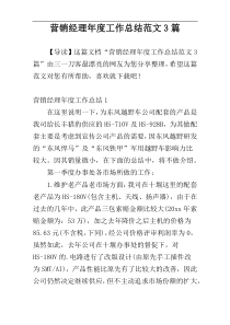 营销经理年度工作总结范文3篇