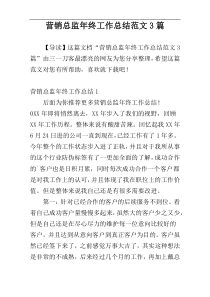 营销总监年终工作总结范文3篇
