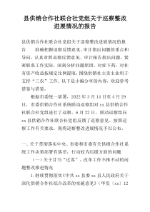 县供销合作社联合社党组关于巡察整改进展情况的报告