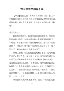 雪天的作文精编5篇