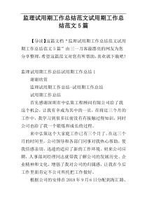 监理试用期工作总结范文试用期工作总结范文5篇