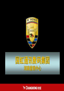 长虹培训教材1(PPT87页)