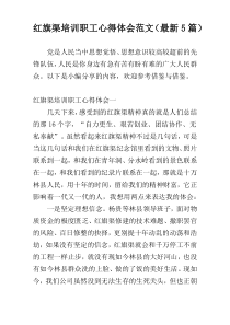 红旗渠培训职工心得体会范文（最新5篇）