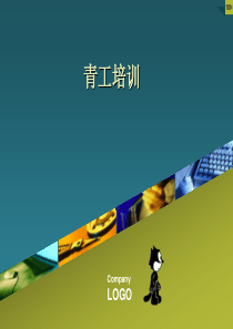 青工培训讲座-陈