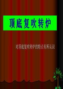顶底复吹转炉培训