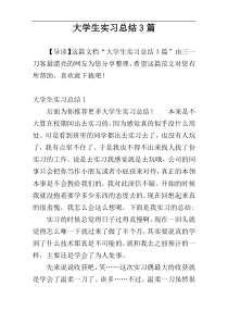 大学生实习总结3篇