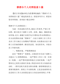 禁酒令个人对照检查5篇