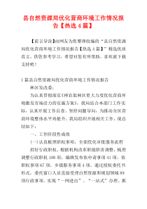 县自然资源局优化营商环境工作情况报告【热选4篇】