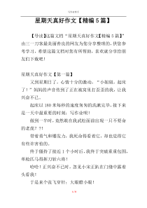 星期天真好作文【精编5篇】