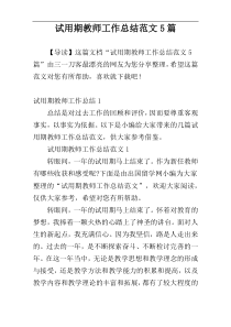 试用期教师工作总结范文5篇