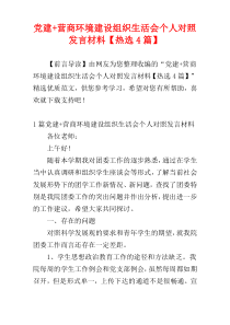 党建+营商环境建设组织生活会个人对照发言材料【热选4篇】