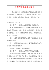 写物作文【精编5篇】
