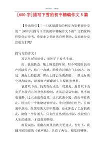[600字]描写下雪的初中精编作文5篇