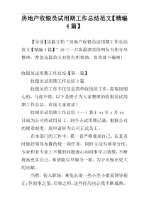 房地产收银员试用期工作总结范文【精编4篇】