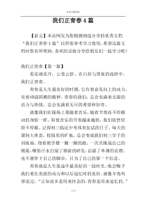 我们正青春4篇