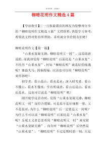 柳暗花明作文精选4篇