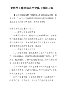 促销员工作总结范文定稿（通用4篇）