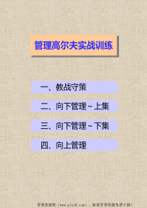 高级经理培训资料(企业实战版)全