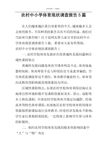 农村中小学体育现状调查报告5篇