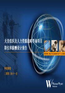 0004-天音——组织及人力资源战略咨询项