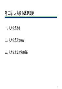 ZY人力资源战略规划
