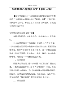 专项整治心得体会范文【最新4篇】