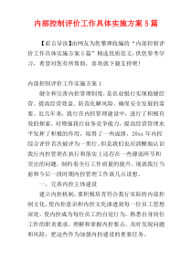 内部控制评价工作具体实施方案5篇