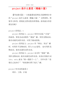 project是什么意思（精编5篇）