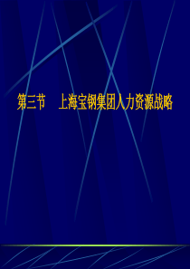 上海某某集团人力资源战略