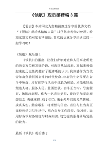 《领航》观后感精编3篇