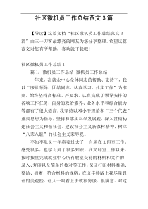 社区微机员工作总结范文3篇