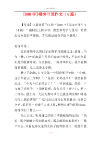 [800字]根深叶茂作文（4篇）