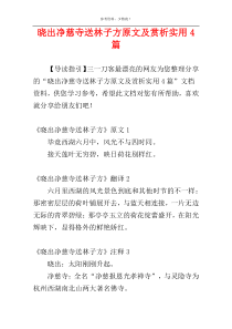 晓出净慈寺送林子方原文及赏析实用4篇
