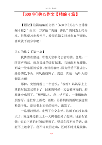 [600字]关心作文【精编4篇】