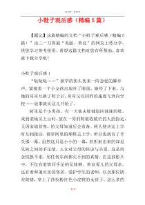 小鞋子观后感（精编5篇）